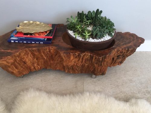 MESA DE TRONCO E RAIZ DE ÁRVORE-035(VENDIDA)